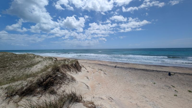 The Island Itself: Nine Miles of Untouched Barrier Beach The Island Itself: Nine Miles of Untouched Barrier Beach