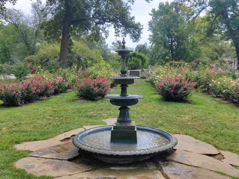 The Jasper Crane Rose Garden and Cherry Blossom Garden: Seasonal Color Worth Planning Around