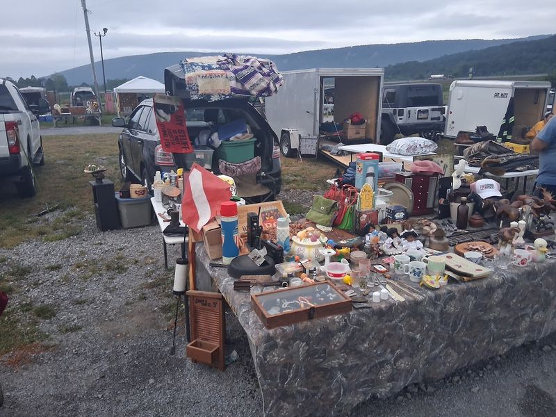 The Kind of Finds You Cannot Plan For The Kind of Finds You Cannot Plan For