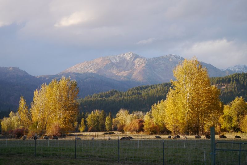 The Landscape That Stops You Mid-Sentence The Landscape That Stops You Mid-Sentence