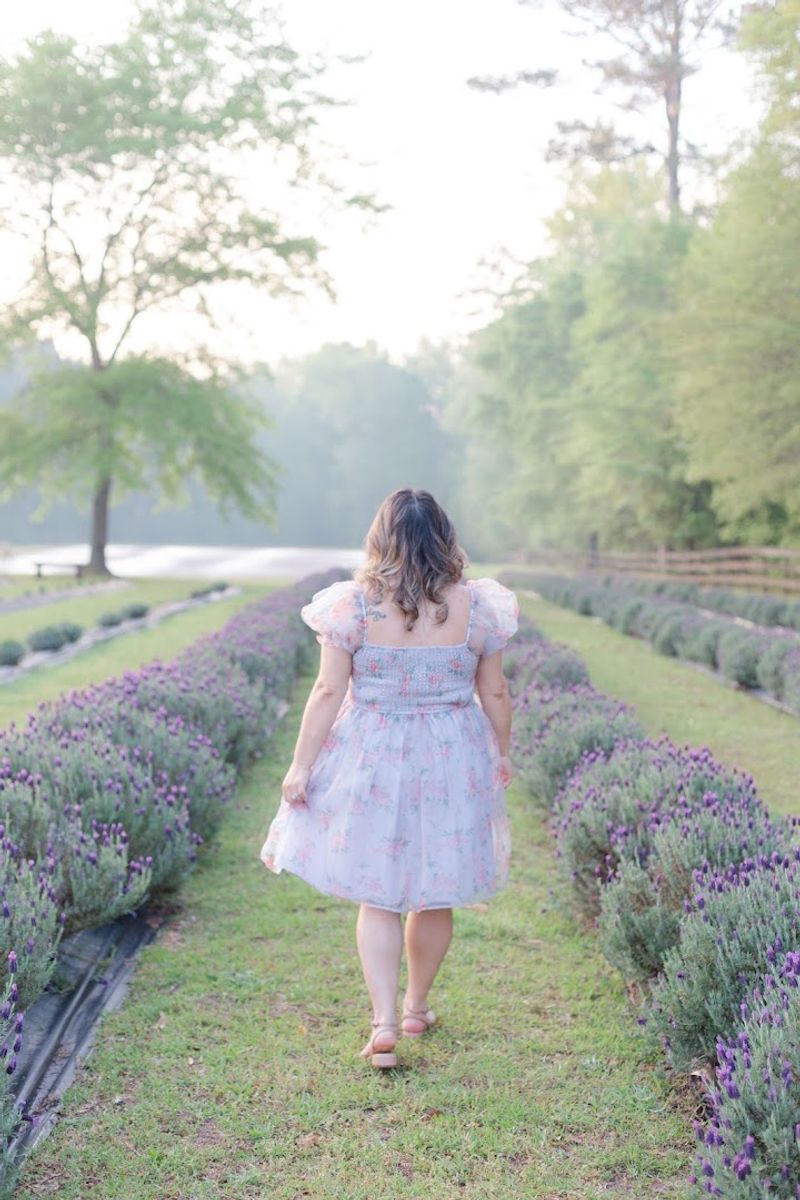 The Lavender Fields Themselves The Lavender Fields Themselves