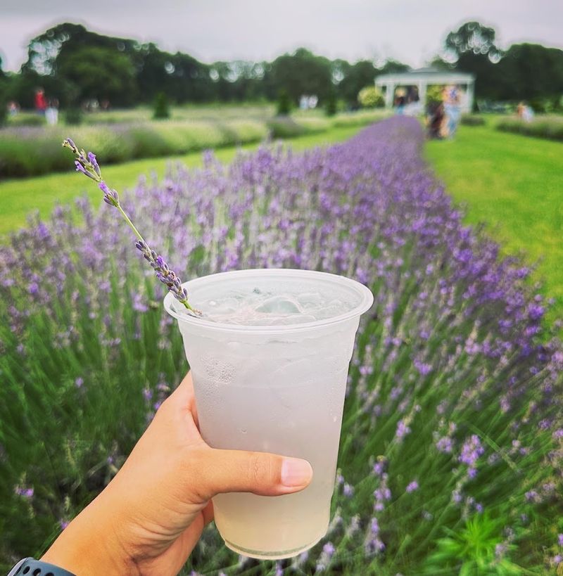 The Lavender Lemonade That Keeps Coming Up in Every Conversation