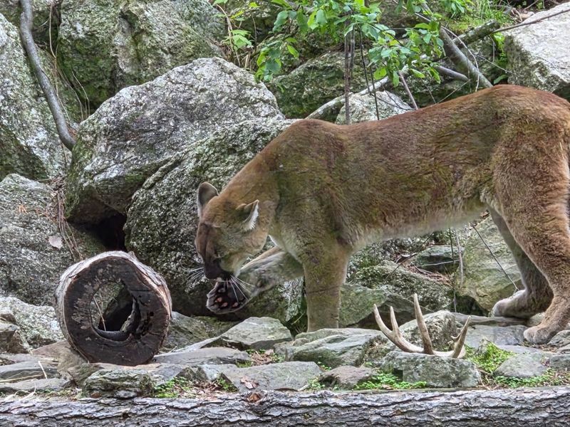 The Live Animal Exhibit Trail and Its Remarkable Residents The Live Animal Exhibit Trail and Its Remarkable Residents