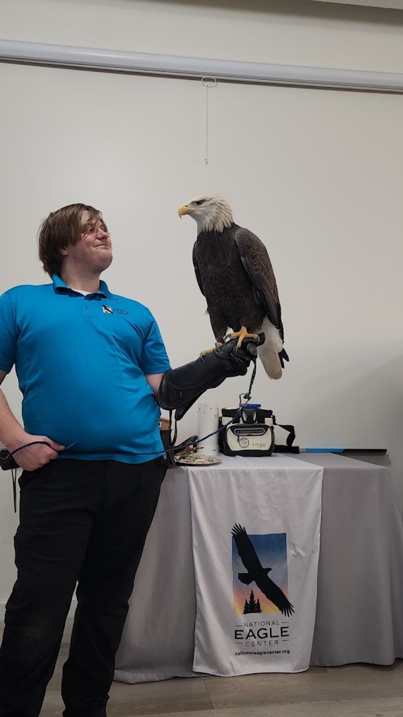 The Live Eagle Presentation You Should Not Skip