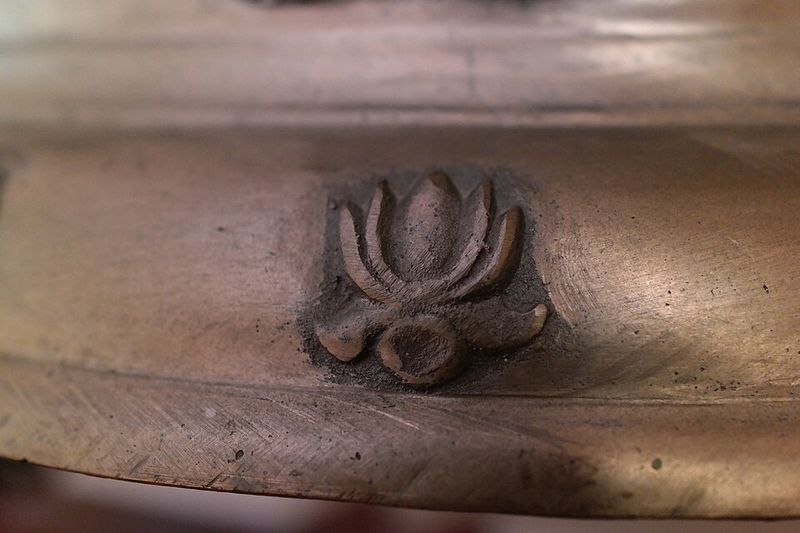 The Lotus Flower The Lotus Flower