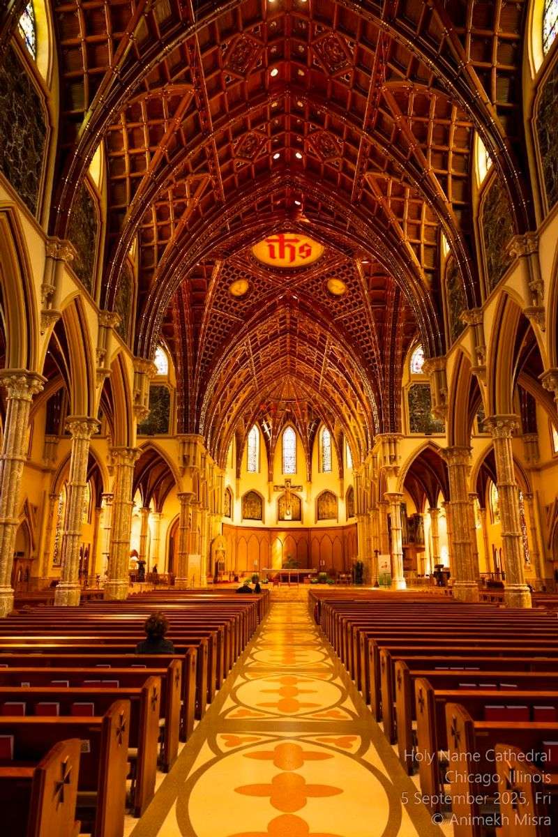 The Magnificent Wooden Ceiling