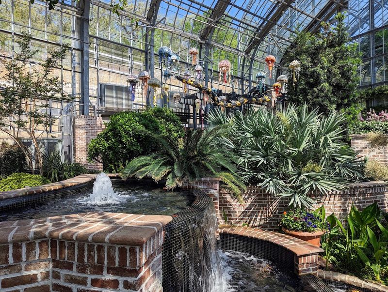The Marjorie K. Daugherty Conservatory: A Tropical World Under Glass The Marjorie K. Daugherty Conservatory: A Tropical World Under Glass