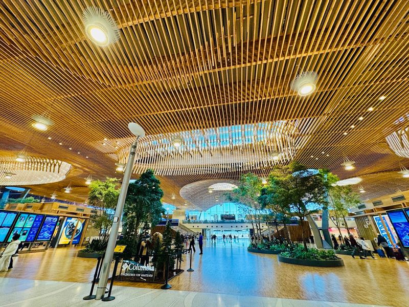 The Mass Timber Roof That Stops Travelers Cold The Mass Timber Roof That Stops Travelers Cold