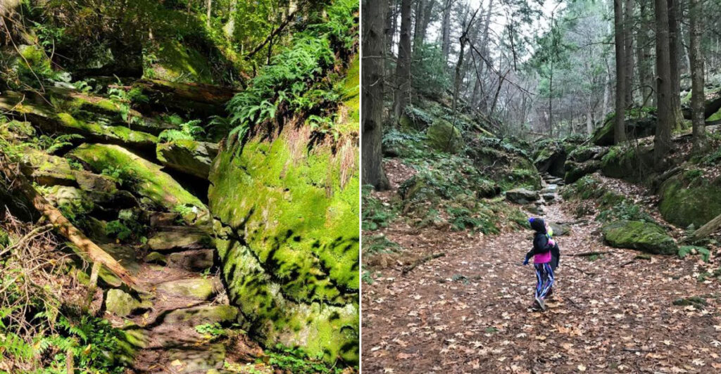 The Massachusetts Hike That Feels Like A Moss-Covered Stone Maze