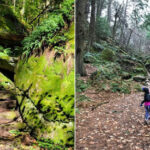 The Massachusetts Hike That Feels Like A Moss-Covered Stone Maze