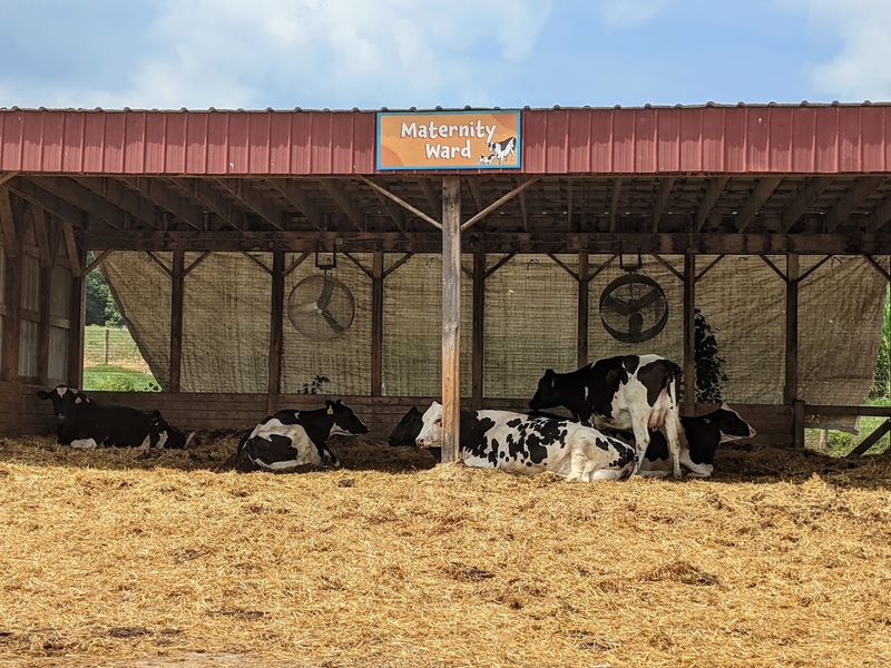 The Maternity Ward That Surprises Everyone