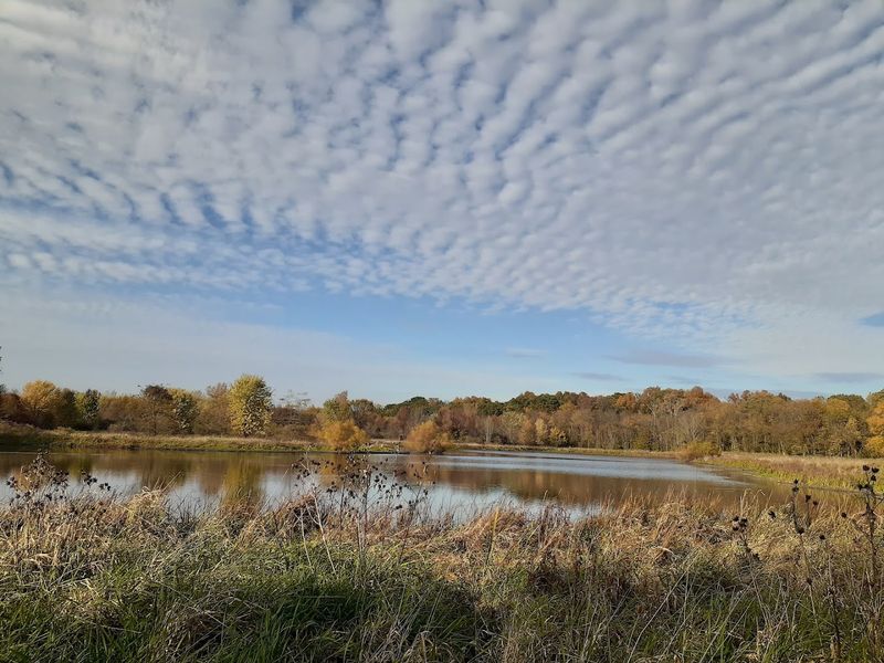 The Meadow Trail and Its Open Sky Views