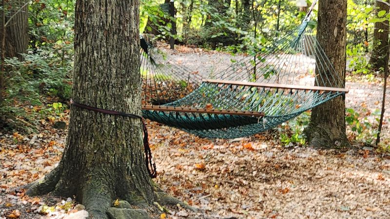 The Meditation Labyrinth and Hammock Glade for Genuine Rest