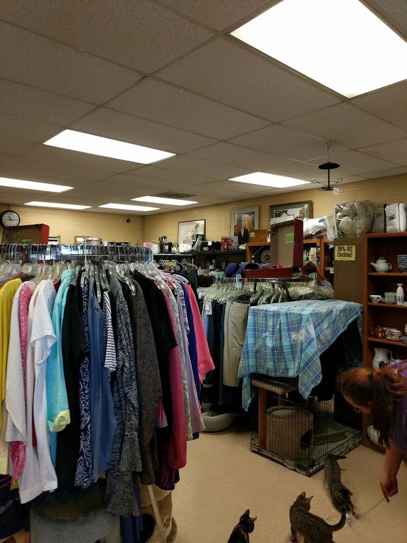 The Merchandise: Three Rooms of Secondhand Finds