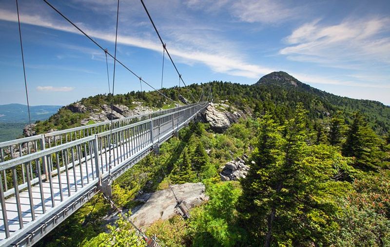 The Mile High Swinging Bridge