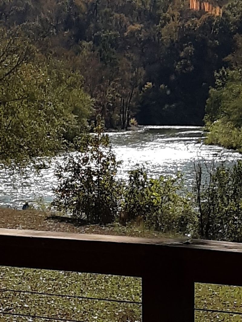 The Mulberry River Is More Than Just a Pretty View