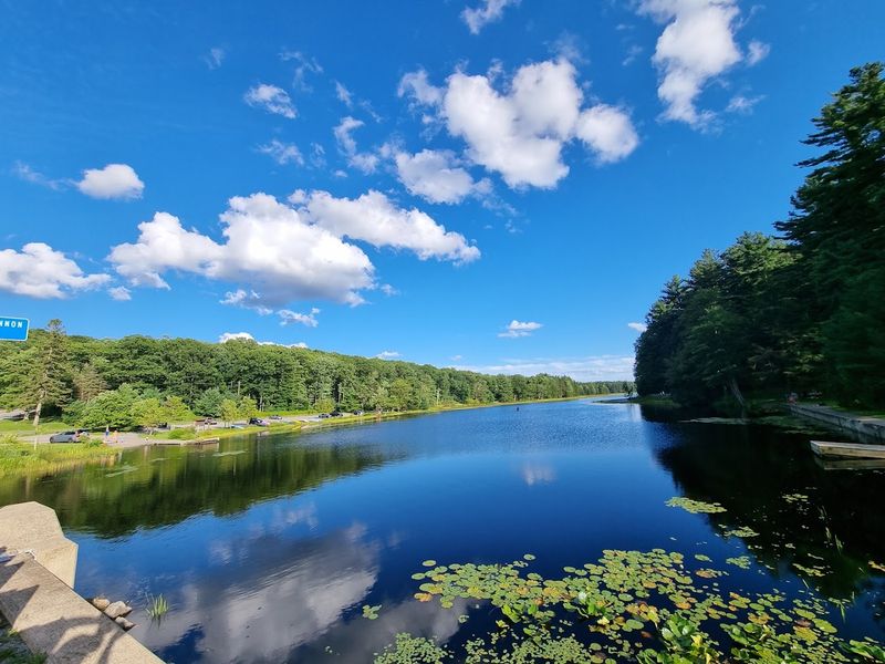 The Mystery Behind the Tea-Colored Lake The Mystery Behind the Tea-Colored Lake