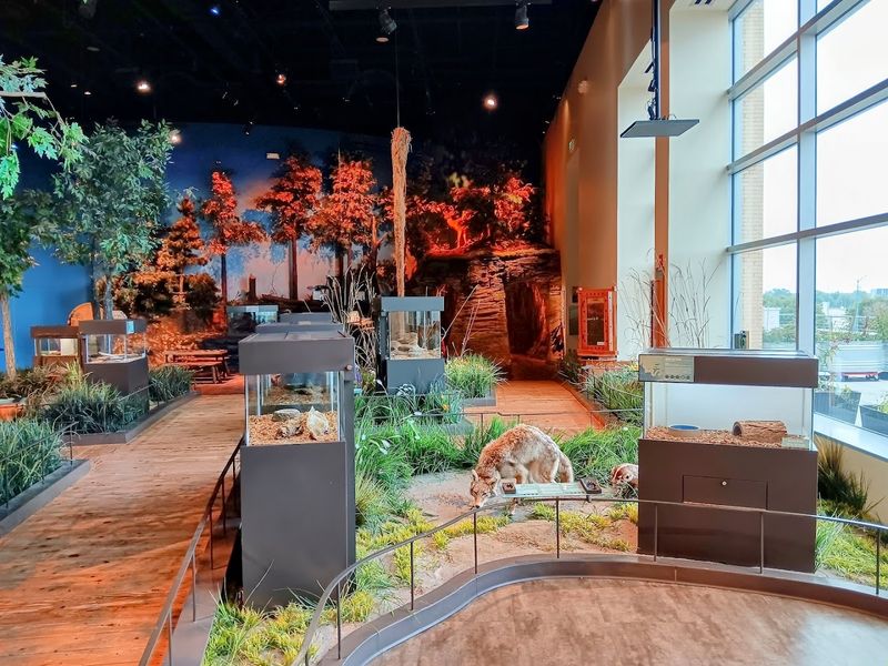 The Nature Center and Live Animals
