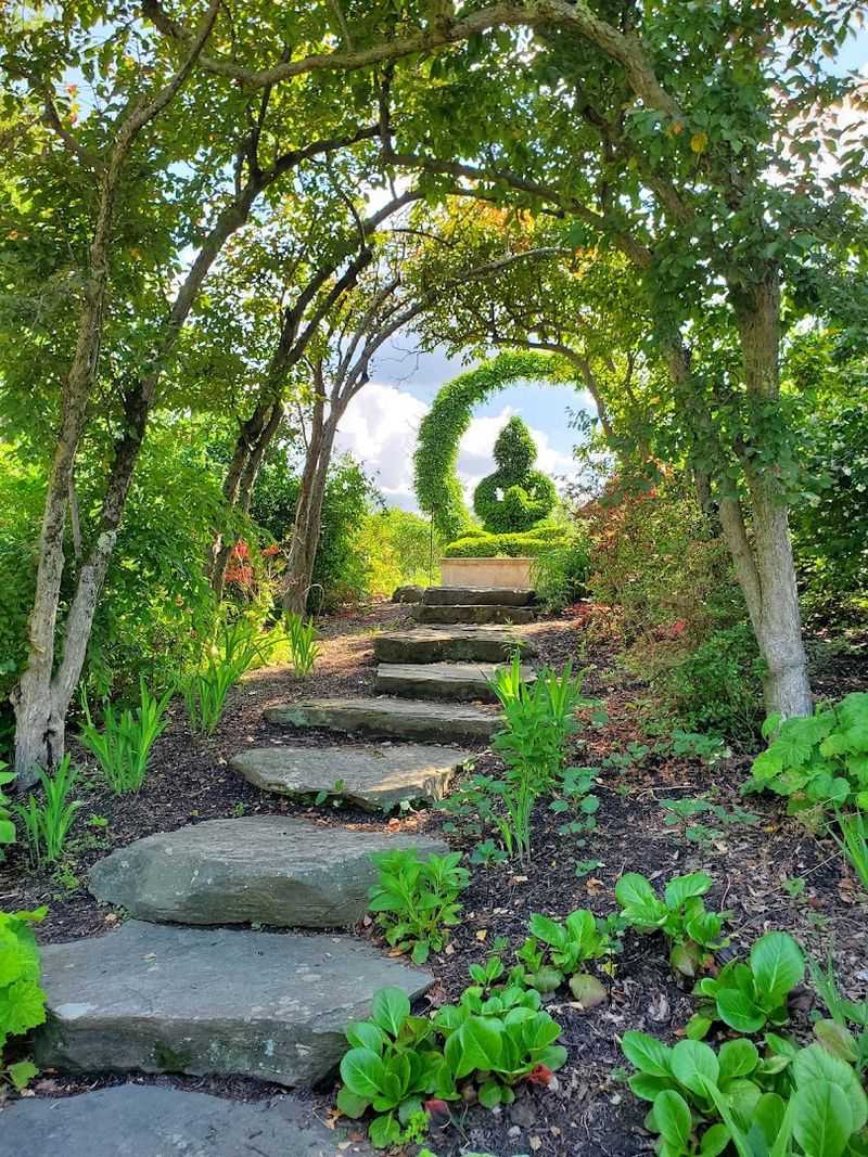 The Nature Trail: Where the Garden Meets the Woods