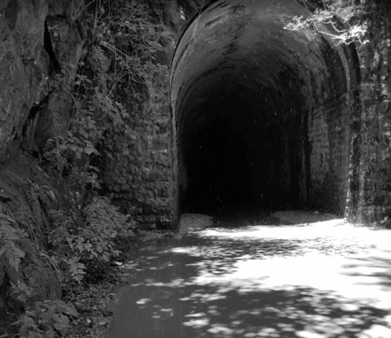 The Nemo Train Tunnels Next Door The Nemo Train Tunnels Next Door