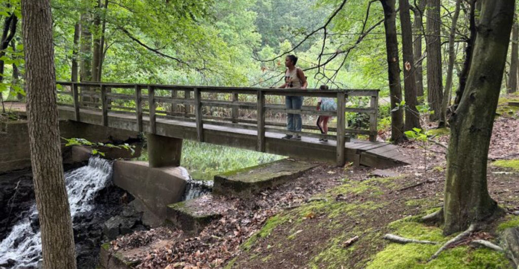 The New Jersey Escape Where Forest Trails Lead to Wetlands and a Cascading Stream