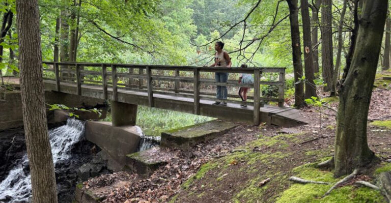The New Jersey Escape Where Forest Trails Lead to Wetlands and a Cascading Stream