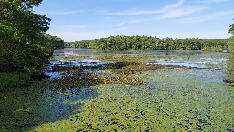 The Nipmuc History Behind the Water The Nipmuc History Behind the Water