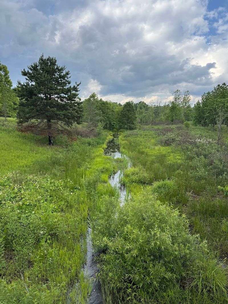 The North Tract: A Former Military Ground Turned Wildlife Habitat The North Tract: A Former Military Ground Turned Wildlife Habitat