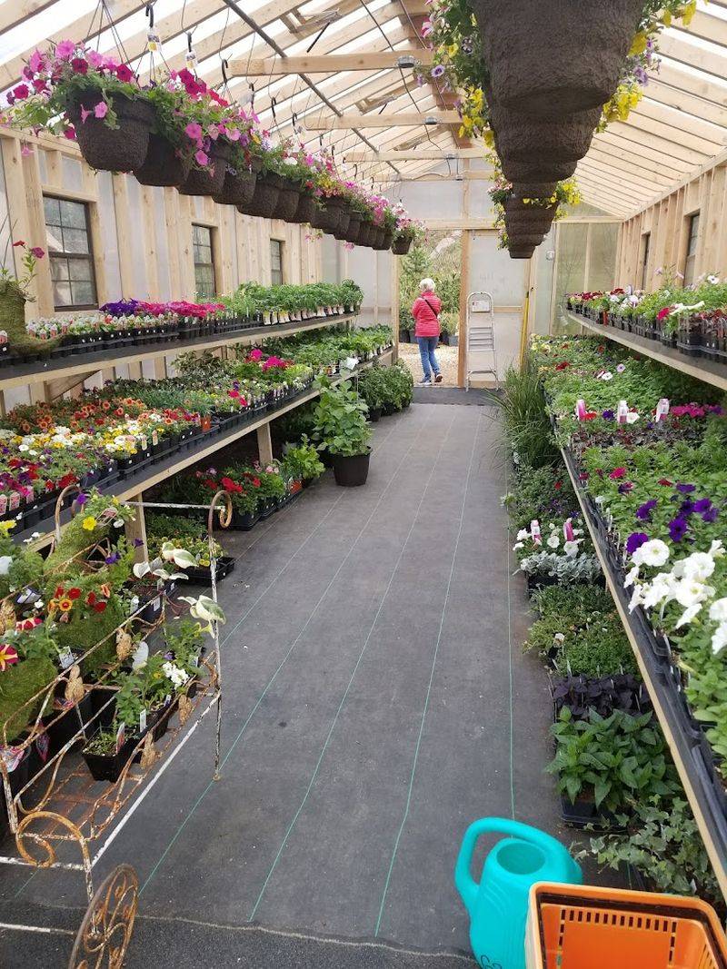 The Nursery Across the Street: Taking the Garden Home The Nursery Across the Street: Taking the Garden Home