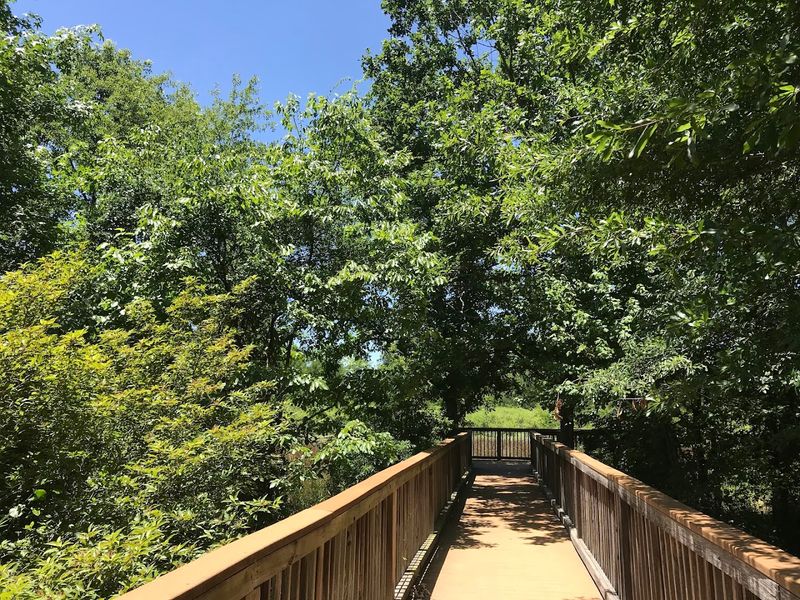 The Observation Deck and Boardwalk Experience