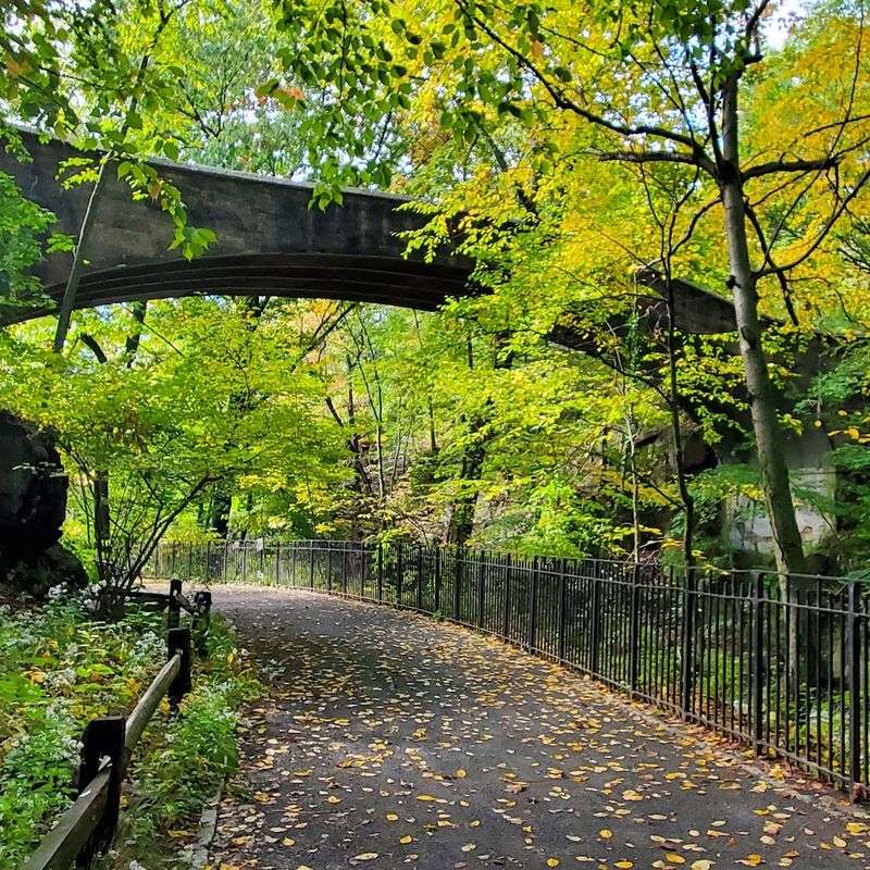 The Oldest Urban Forest in New York City