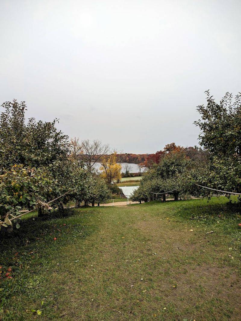 The Orchard Walk and Apple Tree Trails The Orchard Walk and Apple Tree Trails