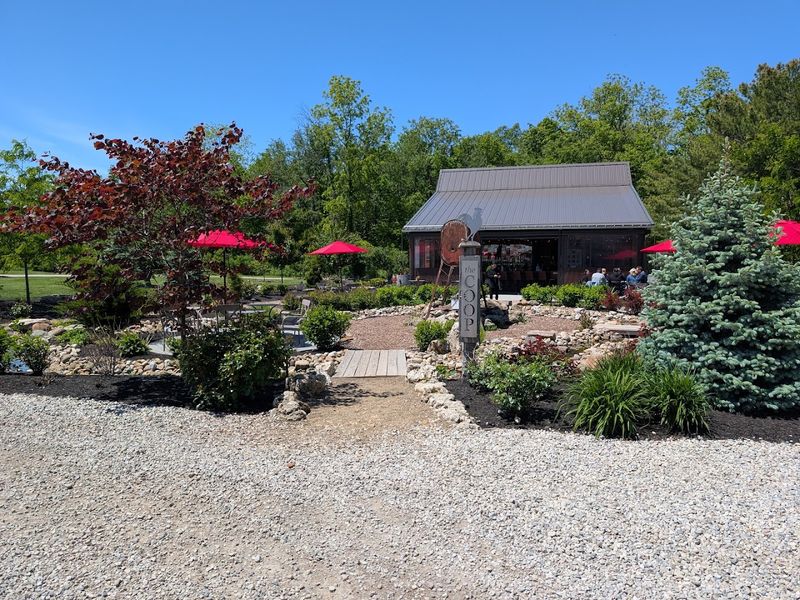 The Outdoor Patio and Garden Views The Outdoor Patio and Garden Views