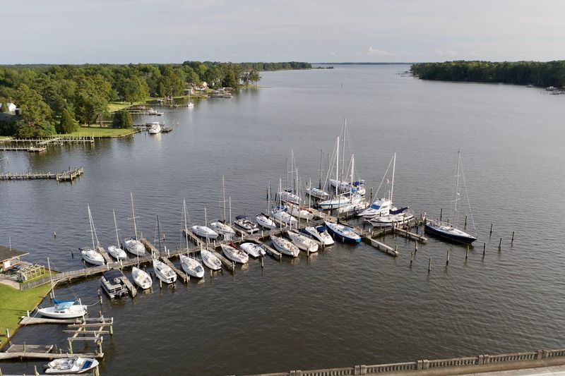 The Pamlico River Waterfront and Its Natural Beauty The Pamlico River Waterfront and Its Natural Beauty