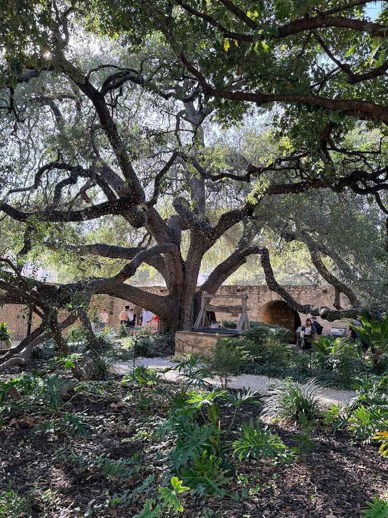The Peaceful Courtyard and Garden Area The Peaceful Courtyard and Garden Area