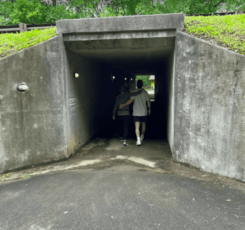 The Pedestrian Tunnel: A Smart and Surprisingly Fun Shortcut