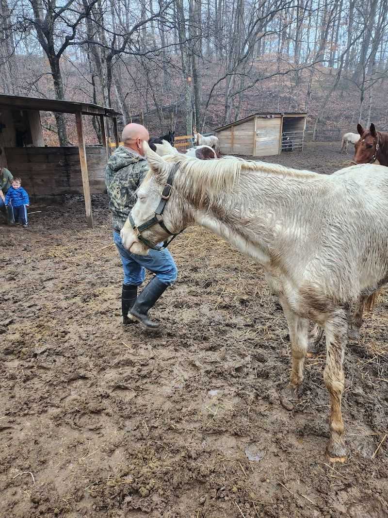 The Petting Farm That Steals the Show
