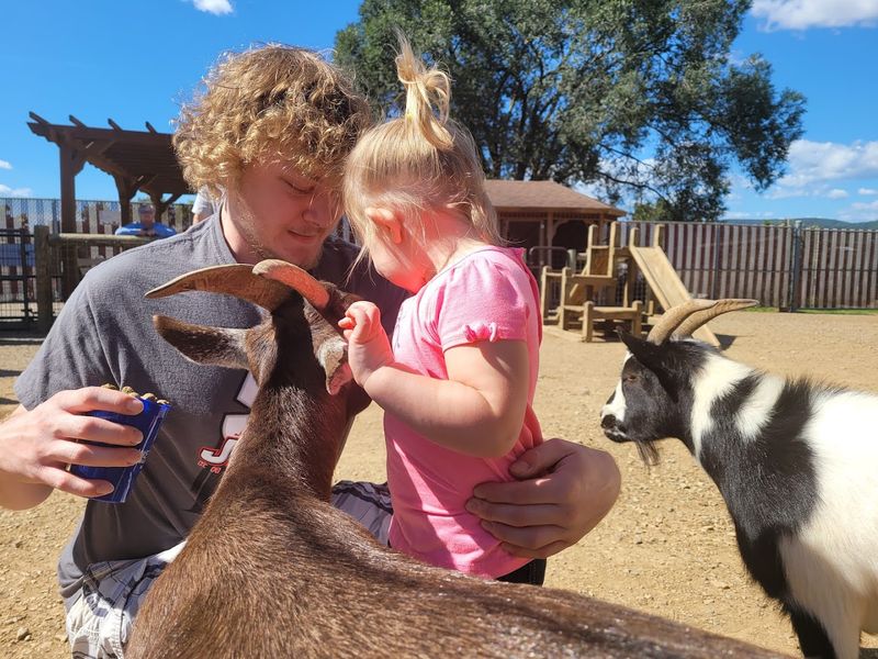 The Petting Zoo That Brings Out the Kid in Everyone The Petting Zoo That Brings Out the Kid in Everyone