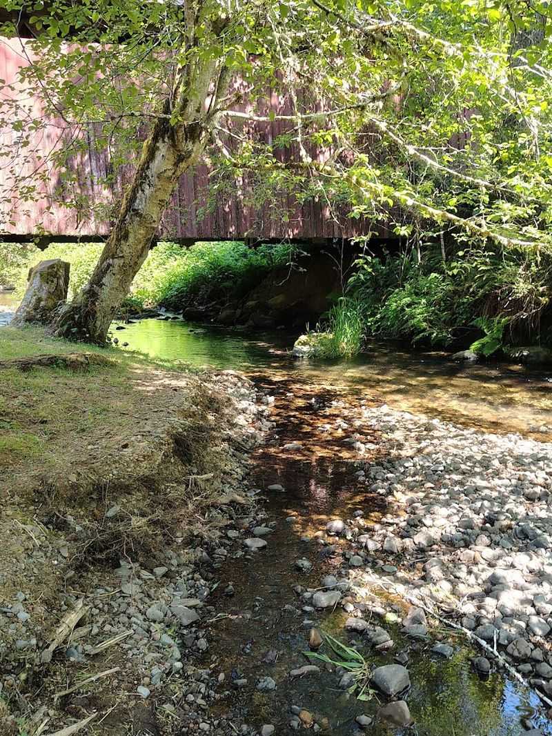 The Picnic Area and Creek-Side Setting
