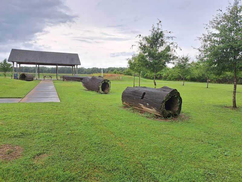 The Picnic Area and Facilities The Picnic Area and Facilities