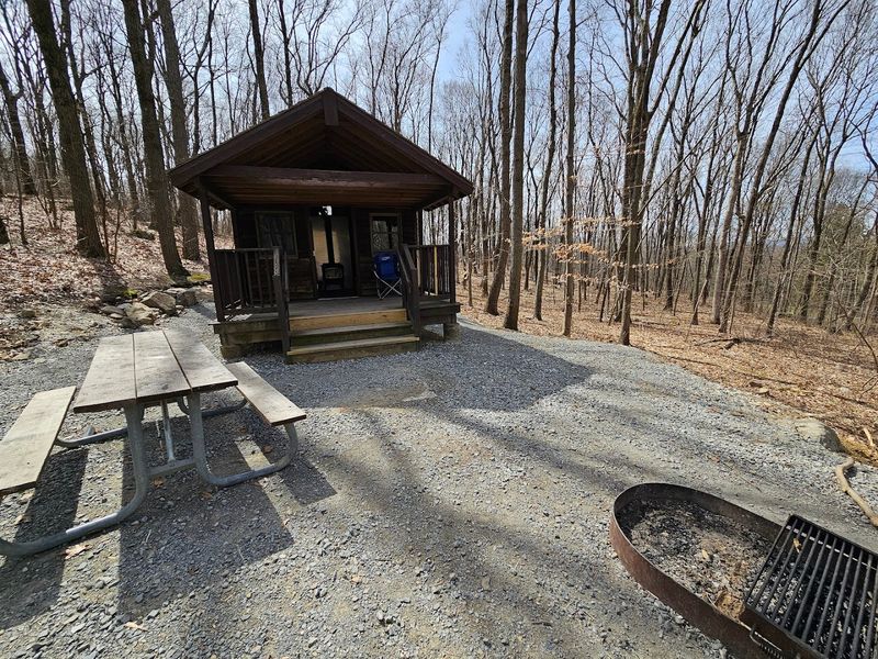 The Picnic Area and Its Appeal The Picnic Area and Its Appeal