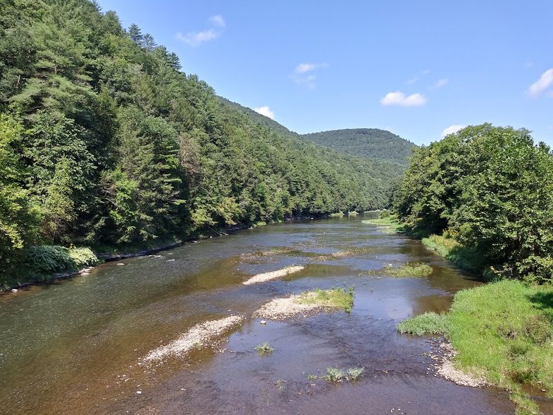 The Pine Creek Rail Trail: A World-Class Path Through the Canyon Floor