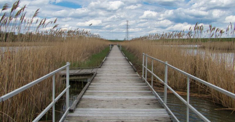 The Place Developers Nearly Changed Forever Is Now One of the State’s Most Captivating Walks