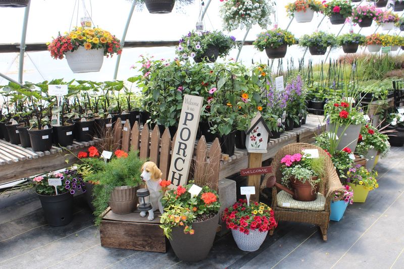 The Planters and Custom Arrangements That Set This Place Apart The Planters and Custom Arrangements That Set This Place Apart