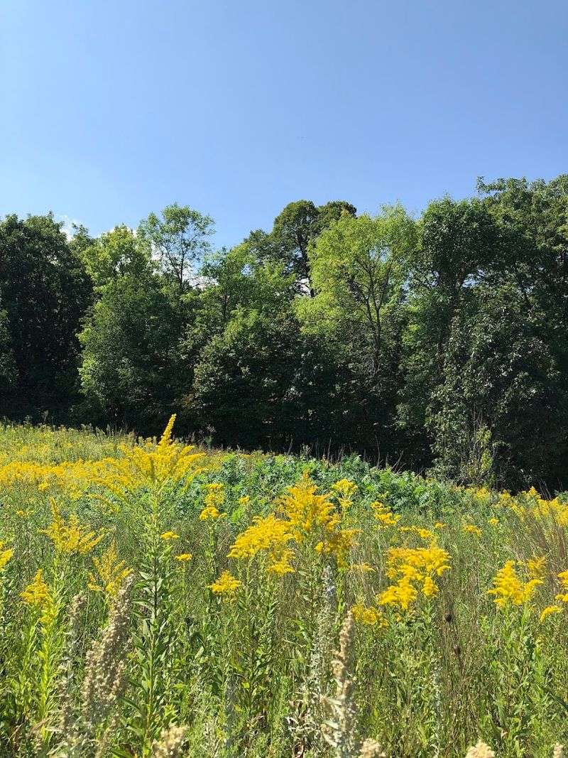 The Prairie and Woodland Sections Few Visitors Explore Fully The Prairie and Woodland Sections Few Visitors Explore Fully
