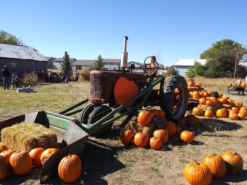 The Pumpkin Patch and Fall Season Activities The Pumpkin Patch and Fall Season Activities