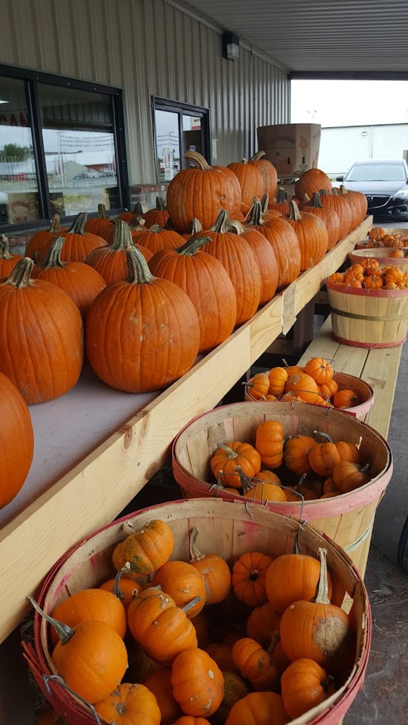 The Pumpkin Patch and Seasonal Celebrations The Pumpkin Patch and Seasonal Celebrations