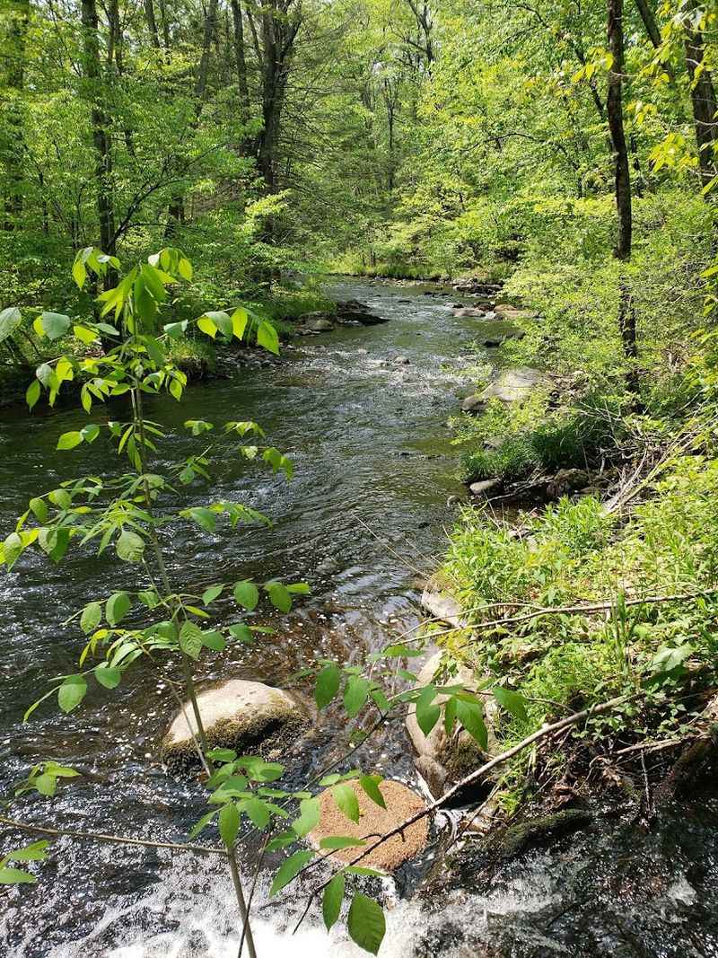 The Quinapoxet River Runs the Whole Way
