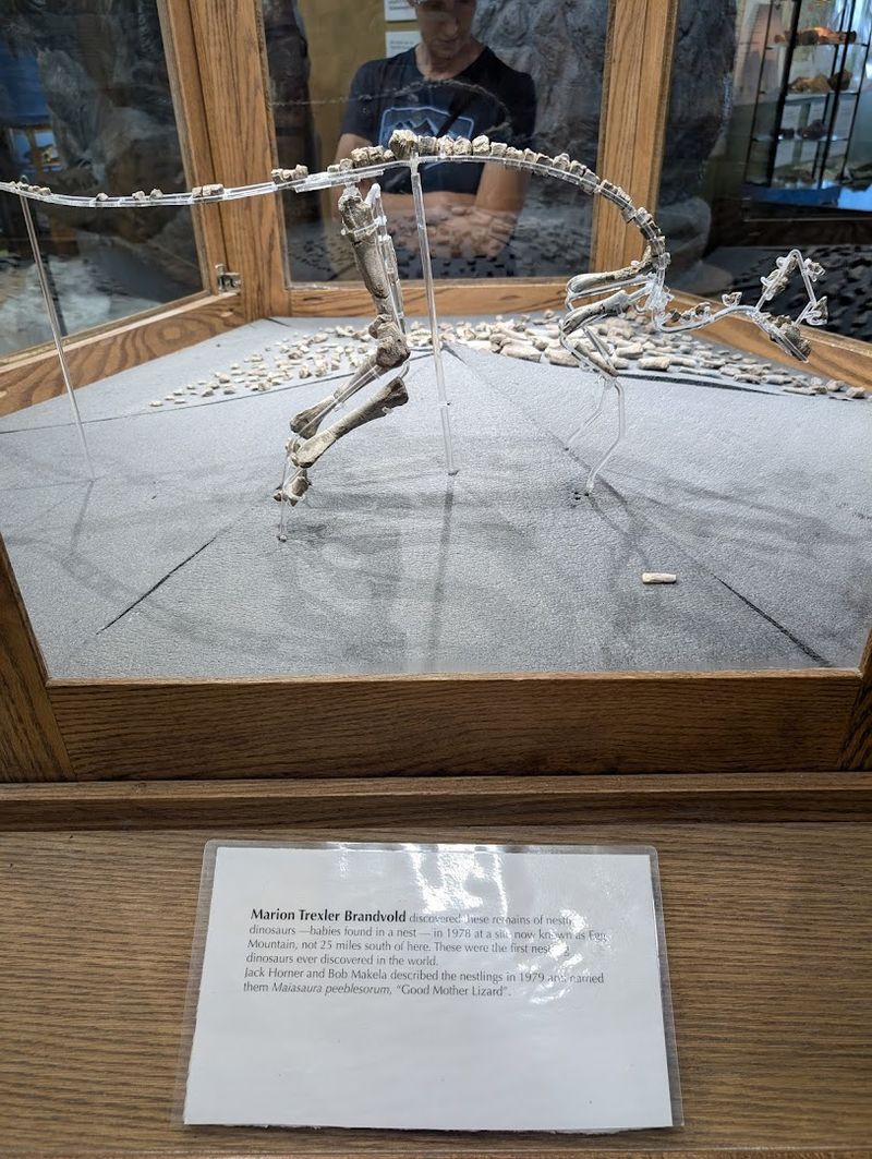 The Remarkable Diversity of Species Found Nearby The Remarkable Diversity of Species Found Nearby