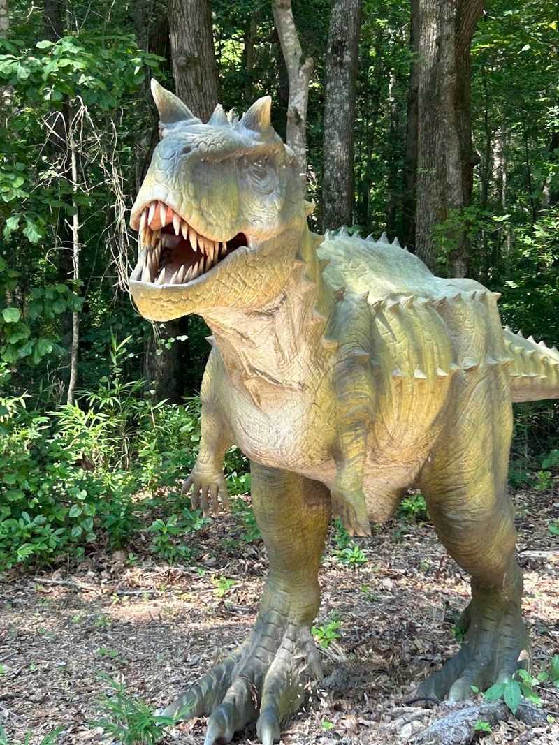 The Reptile Room: Surprisingly Fascinating